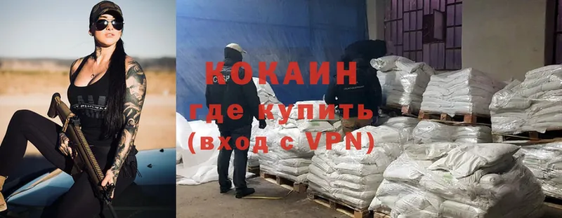 Cocaine FishScale  цены   мега   Владивосток 